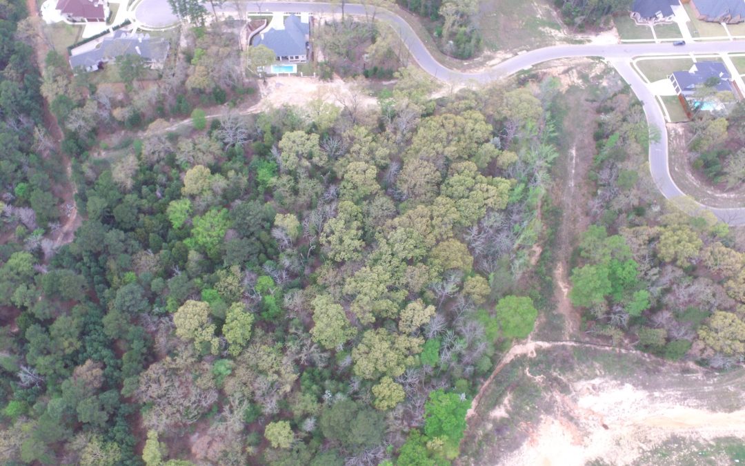 2610 OAK ALLEY – OLD JACKSONVILLE HIGHWAY, TYLER TEXAS